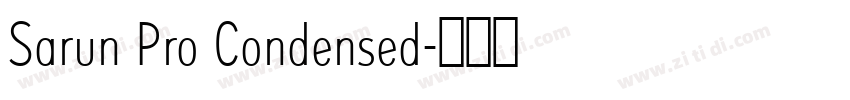 Sarun Pro Condensed字体转换